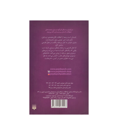 کتاب نوری زیر دریاچه از مجموعه اسکارلت و آیوی